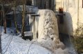 Winter 13.01.09 001